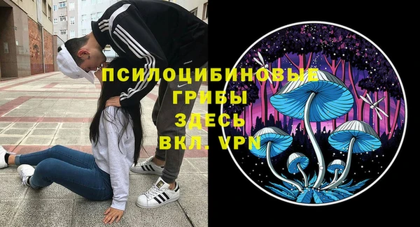 мет Осташков
