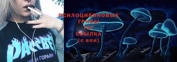 шишки Осинники