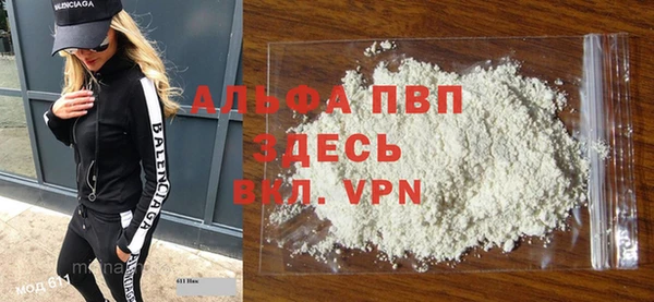 шишки Осинники