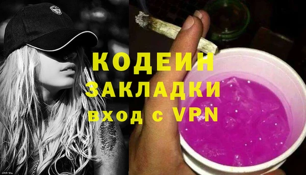 шишки Осинники