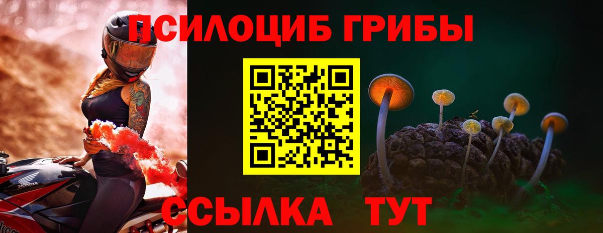 Псилоцибиновые грибы мухоморы Ступино