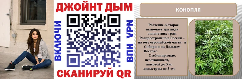 Каннабис OG Kush Ступино